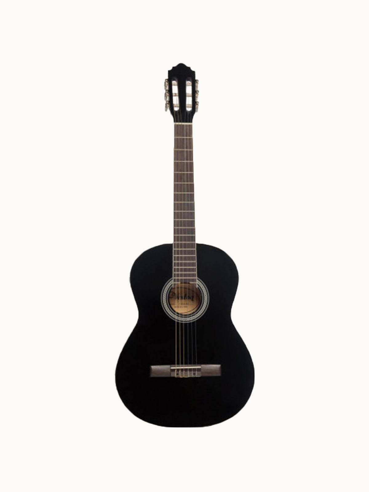 Acoustic & Classical Guitars
